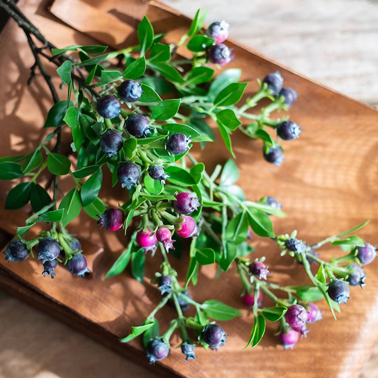 Artificial Fruit Alpine Blueberry Stem 22.4" Tall Silk Plant