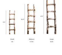 White Birch Wood Decorative Ladder