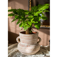 Terracotta Planter Vase with Handles