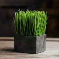 Faux Grass in Black Pot