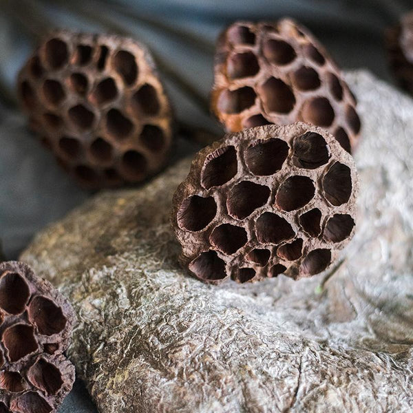 Artificial Lotus Dried Lotus Leaf and Pod RusticReach