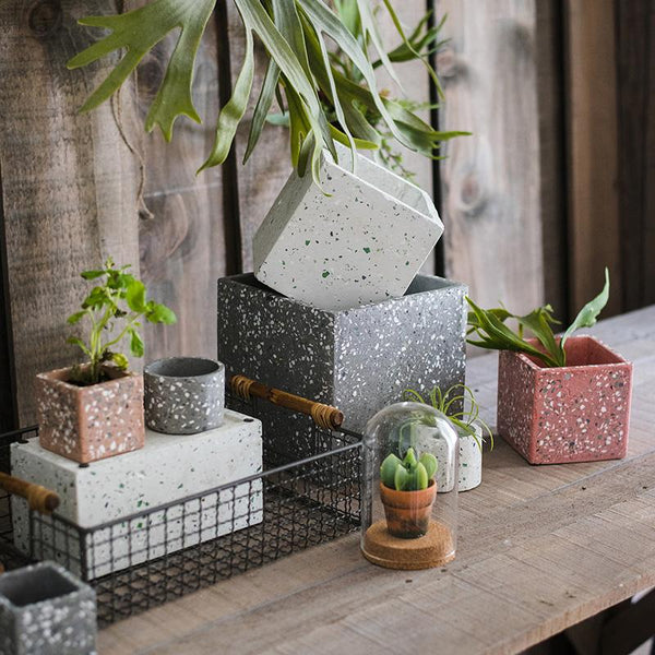 Cement Planter in Various Shape Colors and Sizes RusticReach 