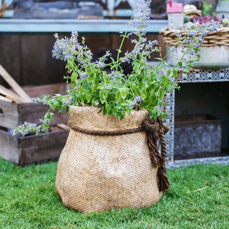 How to Decorate Your Home for the Holidays Using Cement Planters - RusticReach