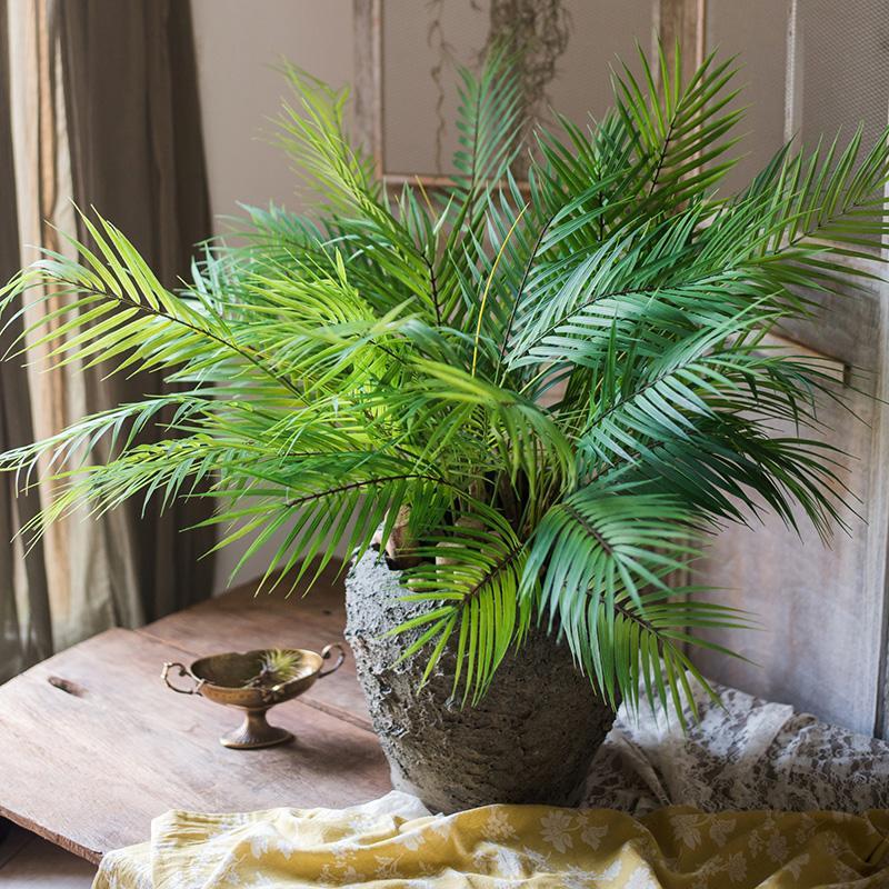 5 Ways Green Plants Enhance Your Home
