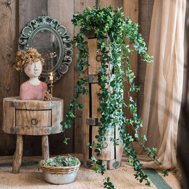 5 Vine Plants That Will Turn Your Home into Your Own Garden