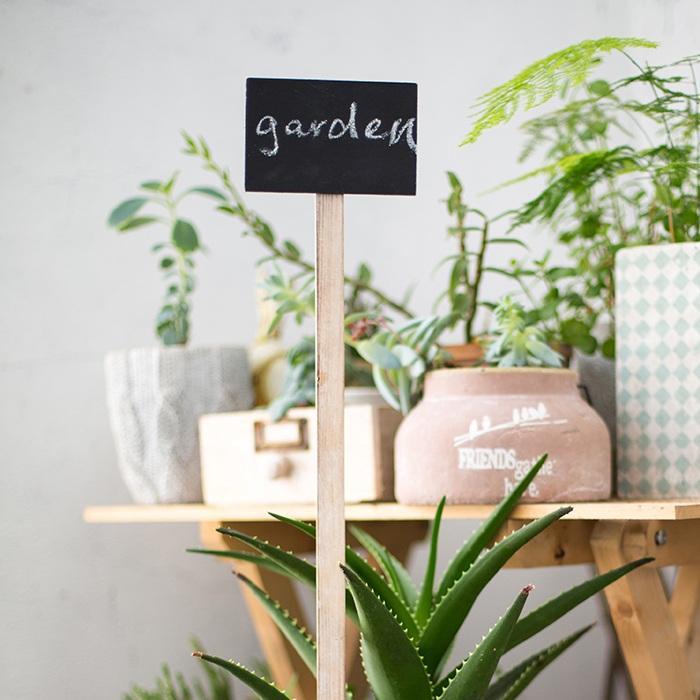 The Icing On The Cake For Garden - RusticReach