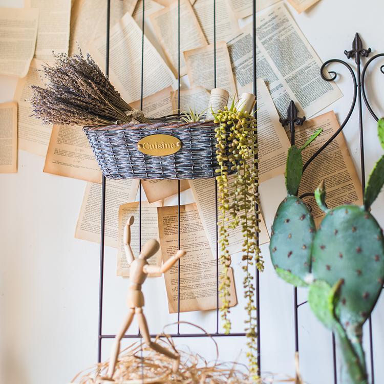 5 Decorative Plants and the Energies They Manifest for the New Year - RusticReach