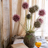 Rustic Thistle Pod Stem 27.5" Tall - RusticReach