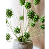 Faux Thistle Seed Pod Stem 33" Tall - RusticReach