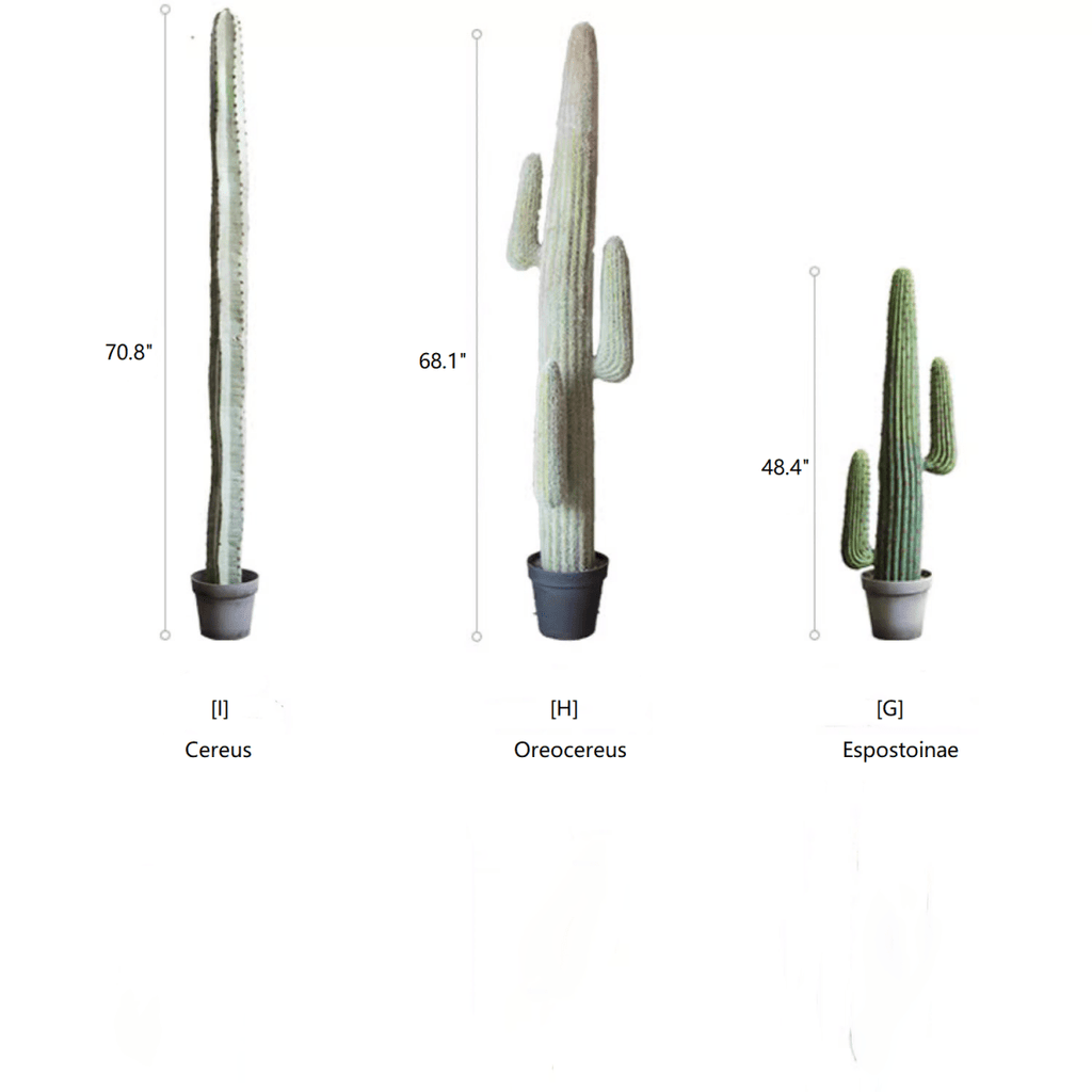 Artificial Cactus in Pot Various Styles - RusticReach