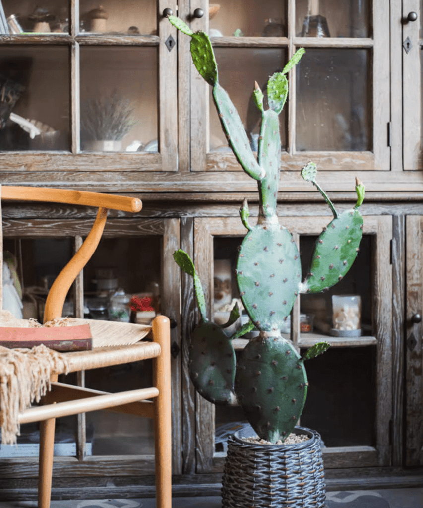 Artificial Cactus in Pot Various Styles - RusticReach