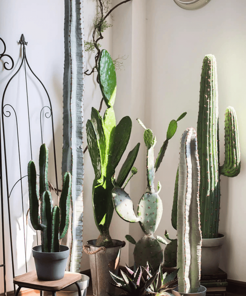 Artificial Cactus in Pot Various Styles - RusticReach