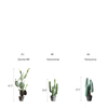 Artificial Cactus in Pot Various Styles - RusticReach