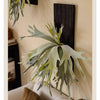 Artificial Antler Fern on Solid Wood Base - RusticReach
