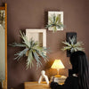 Artificial Antler Fern with Wooden Frame - RusticReach