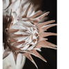 Artificial Artichoke Stem in Various Colors 37" Tall - RusticReach