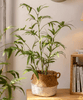 Artificial Bamboo Leaves in Pot - RusticReach