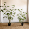 Artificial Bamboo Leaves in Pot - RusticReach