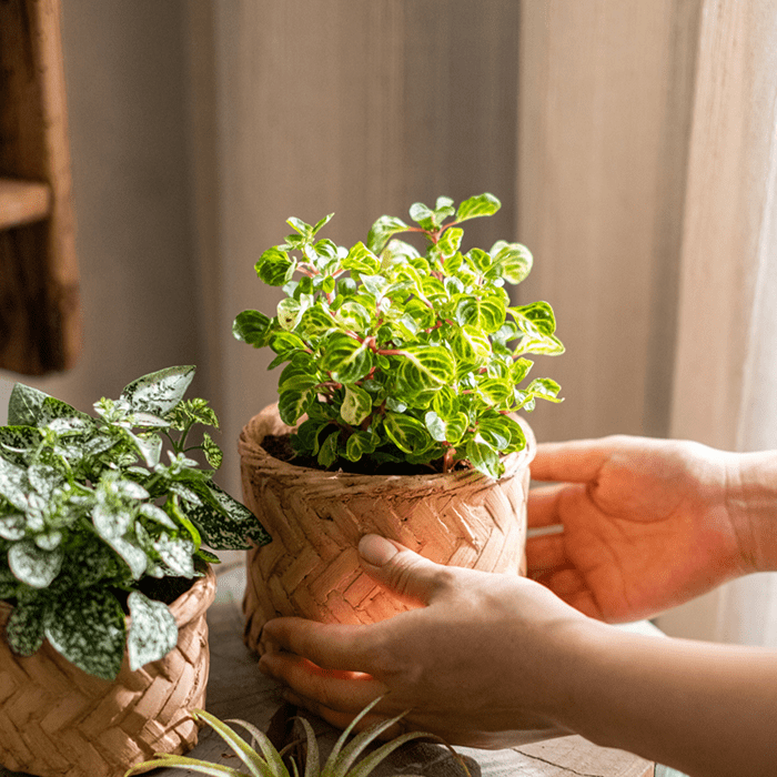 Bamboo Looking Cement Planter - RusticReach