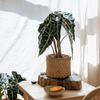 Bamboo Looking Cement Planter - RusticReach
