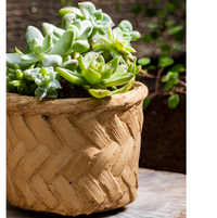 Bamboo Looking Cement Planter