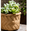 Bamboo Looking Cement Planter - RusticReach