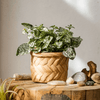 Bamboo Looking Cement Planter - RusticReach