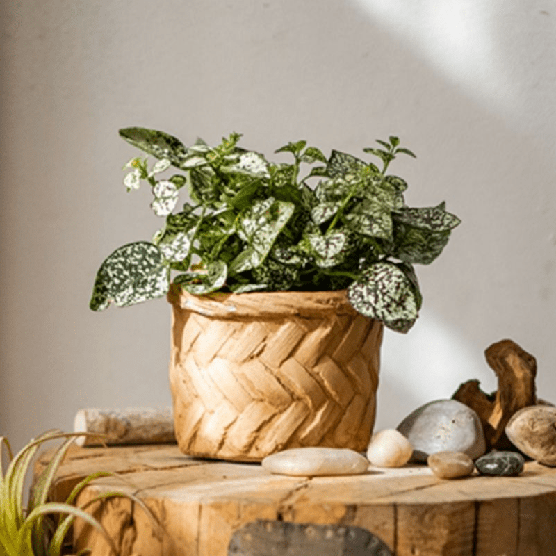 Bamboo Looking Cement Planter - RusticReach