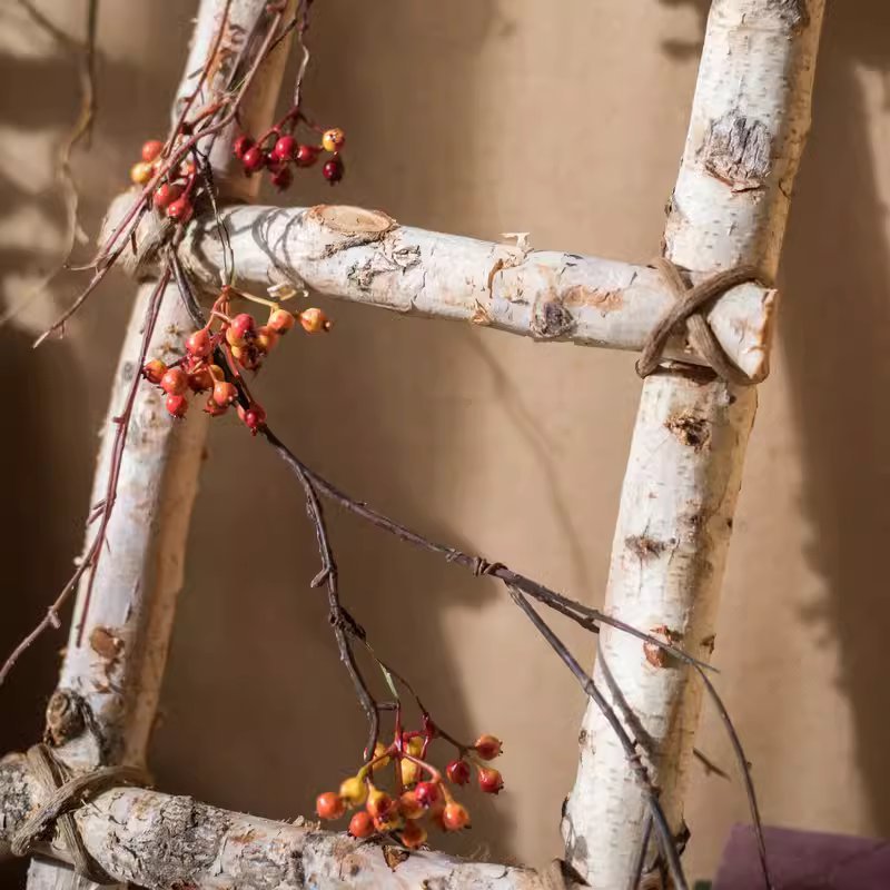 White Birch Wood Decorative Ladder - RusticReach