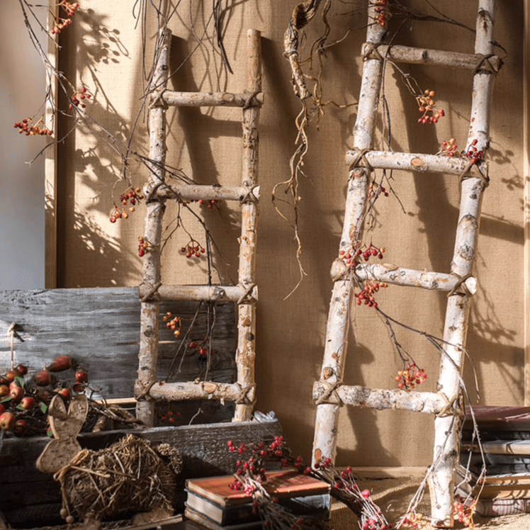 White Birch Wood Decorative Ladder - RusticReach