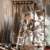 White Birch Wood Decorative Ladder - RusticReach