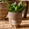 Bohemian Red Clay Planter - RusticReach