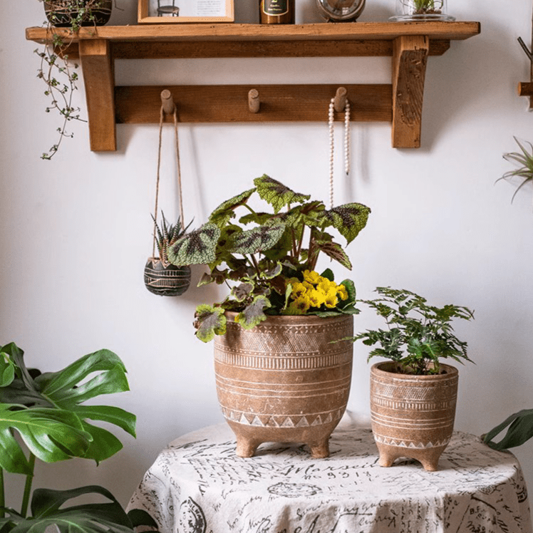 Bohemian Red Clay Planter - RusticReach