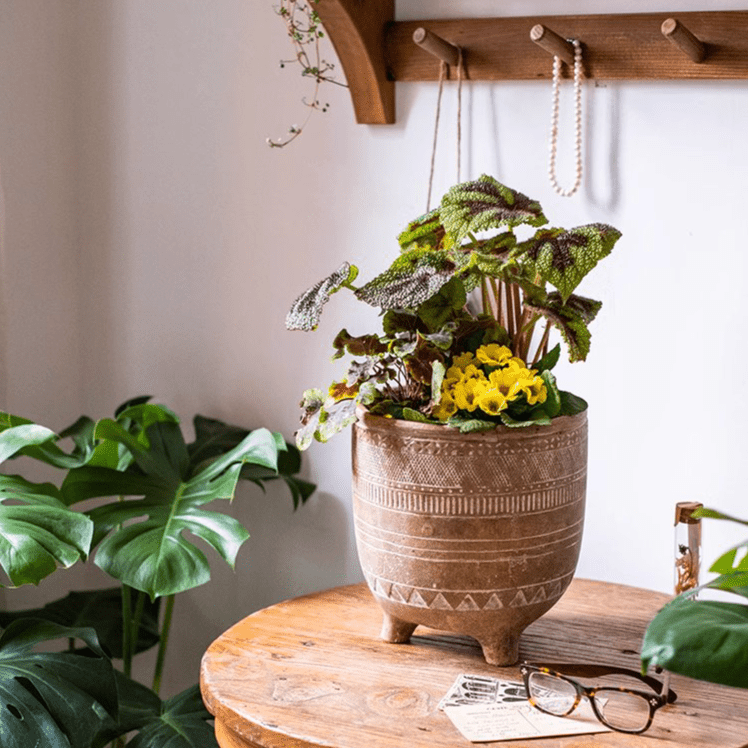 Bohemian Red Clay Planter - RusticReach