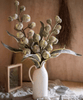Designer Fruit Bouquet - RusticReach