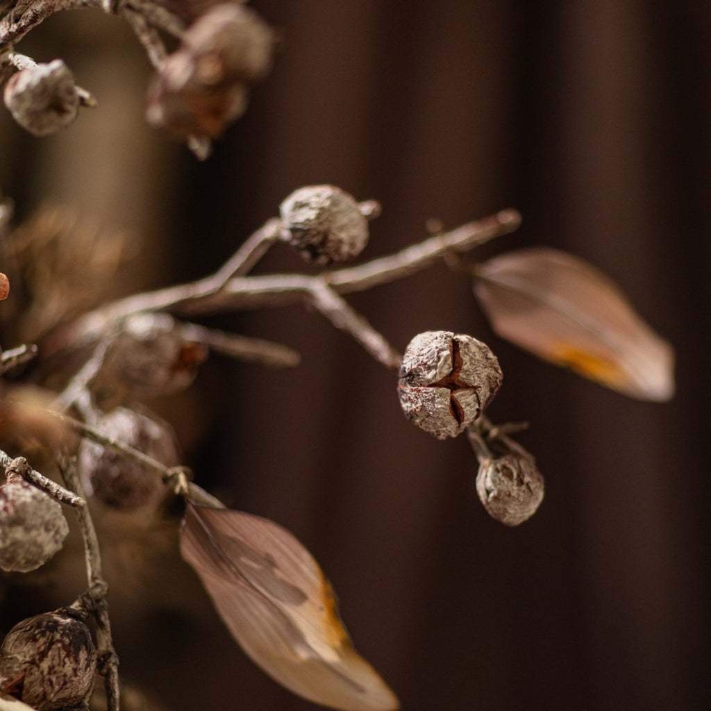 Brown Faux Pod Branch with Leaves 43" Tall - RusticReach