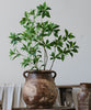 Restoration Brown Clay Pot - RusticReach