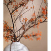Rustic Berries on Tall Branch - RusticReach