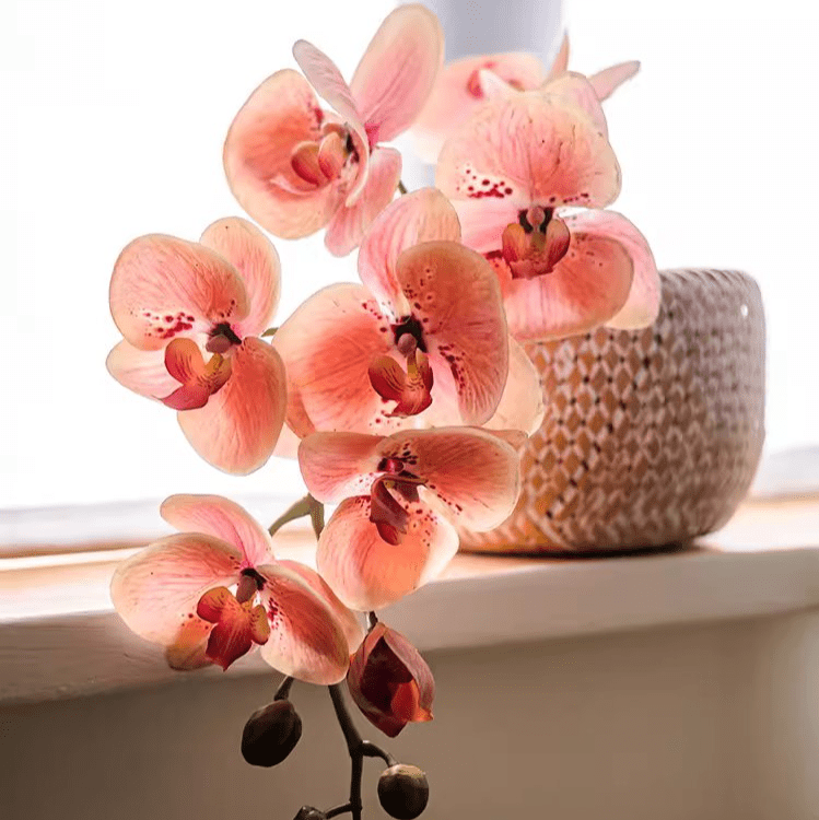 Artificial Butterfly Orchid Stem in Pink 27.5" Tall - RusticReach
