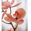 Artificial Butterfly Orchid Stem in Pink 27.5" Tall - RusticReach
