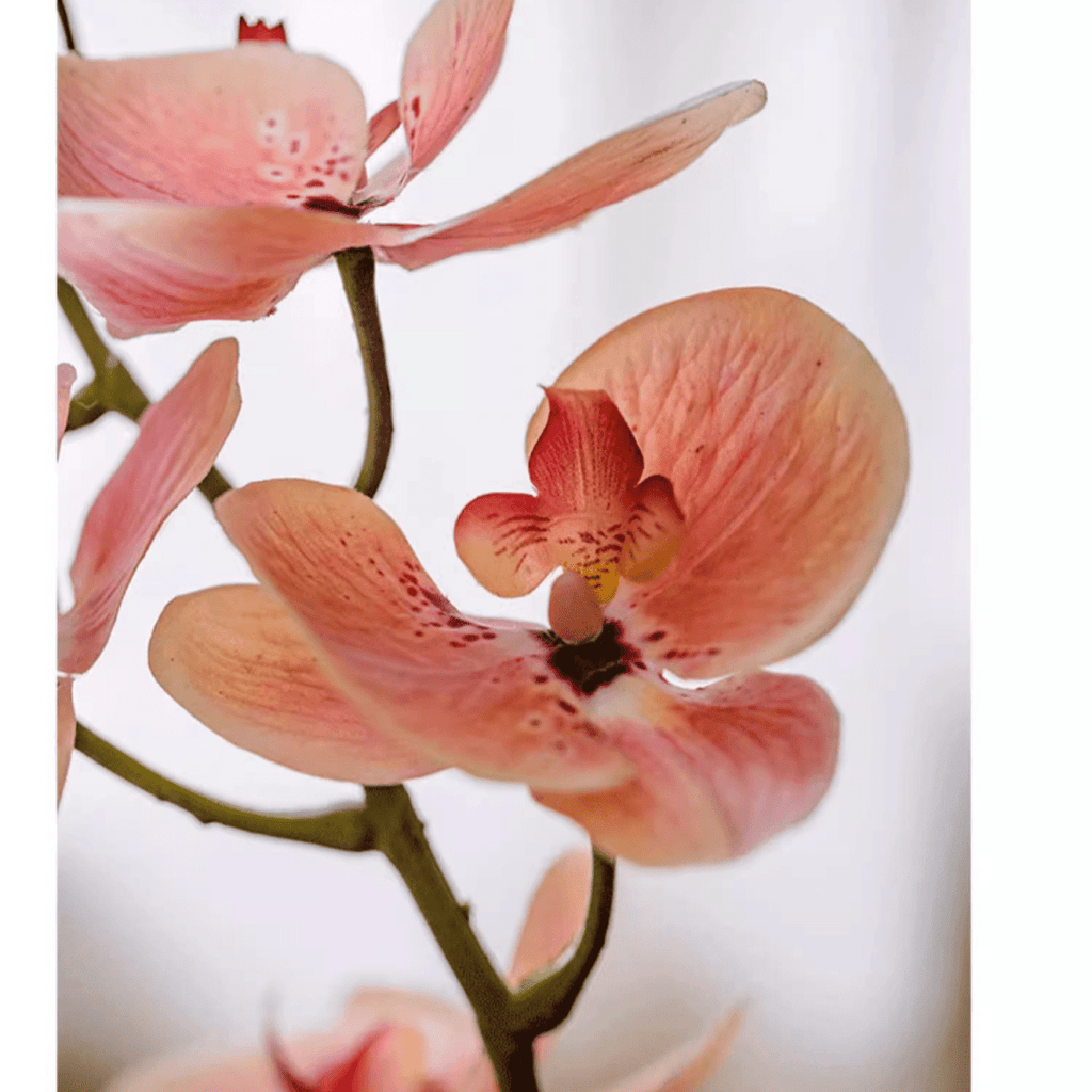 Artificial Butterfly Orchid Stem in Pink 27.5" Tall - RusticReach