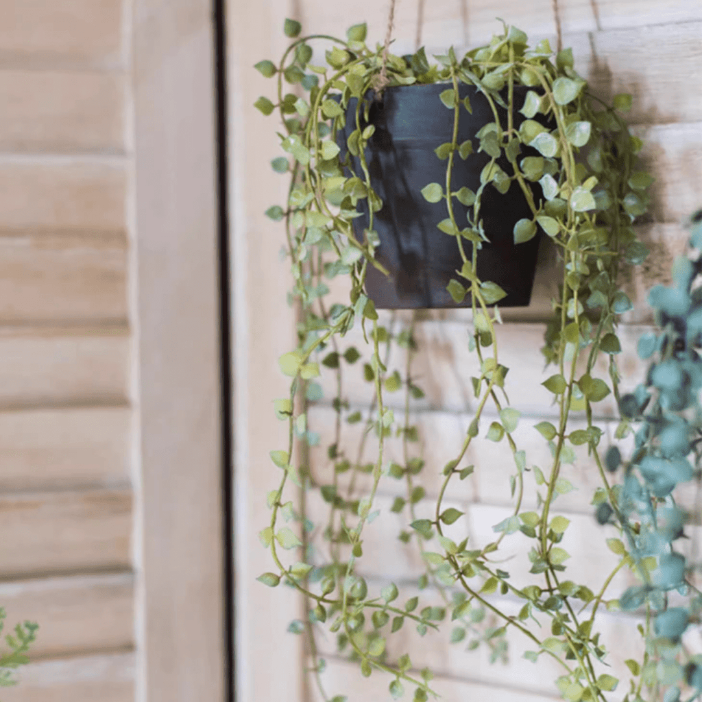 Hanging Faux Ceropegia Vine in Pot - RusticReach