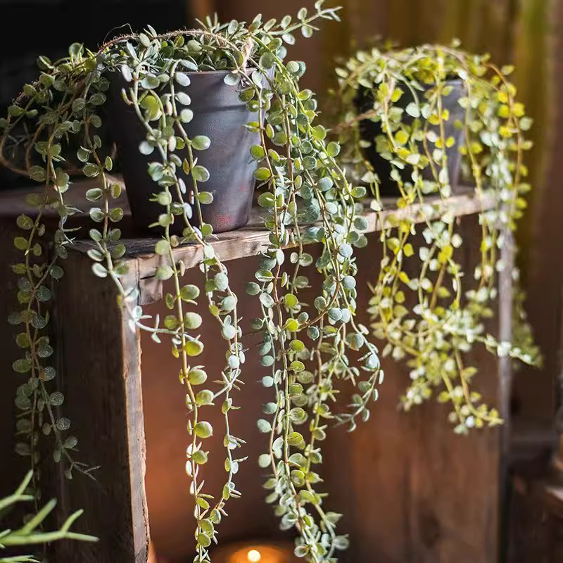 Hanging Faux Ceropegia Vine in Pot - RusticReach