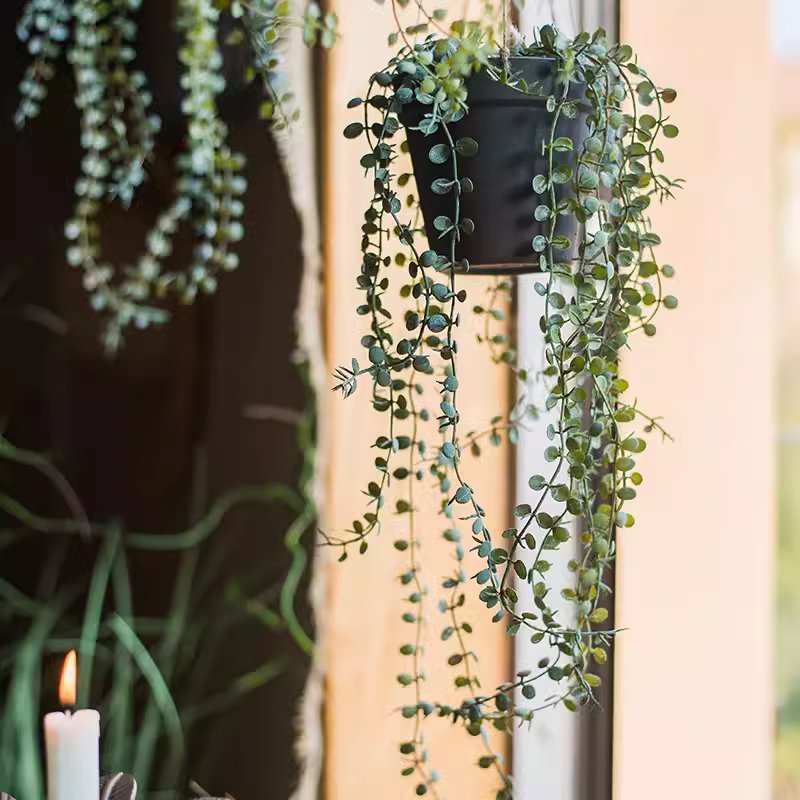 Hanging Faux Ceropegia Vine in Pot - RusticReach
