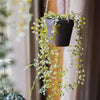 Hanging Faux Ceropegia Vine in Pot - RusticReach