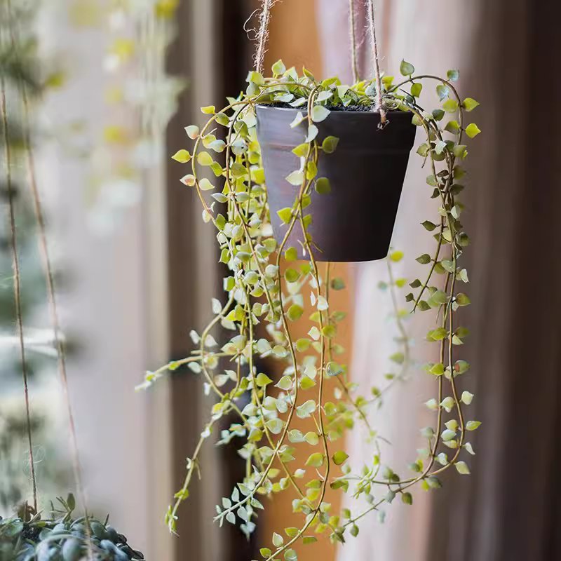 Hanging Faux Ceropegia Vine in Pot - RusticReach