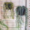 Hanging Faux Ceropegia Vine in Pot - RusticReach