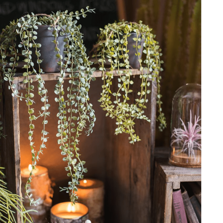 Hanging Faux Ceropegia Vine in Pot - RusticReach