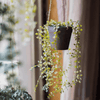 Hanging Faux Ceropegia Vine in Pot - RusticReach