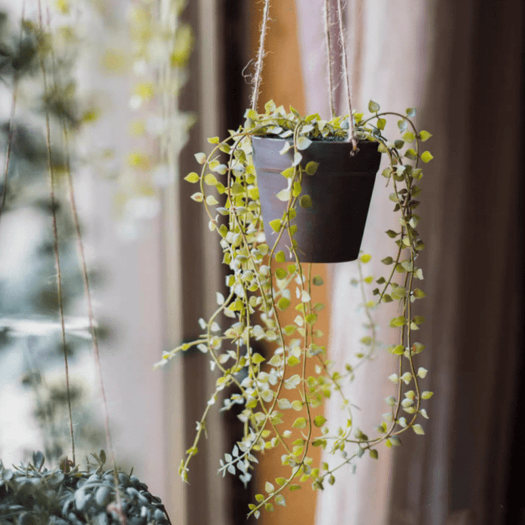 Hanging Faux Ceropegia Vine in Pot - RusticReach